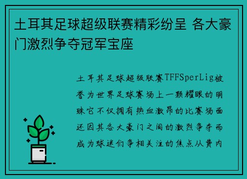 土耳其足球超级联赛精彩纷呈 各大豪门激烈争夺冠军宝座